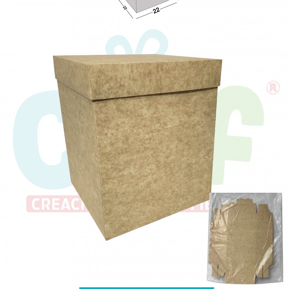 CAJA CUBO KRAFT SIN VENTANA - BODEGA MEDIANA ALTA 22X22
