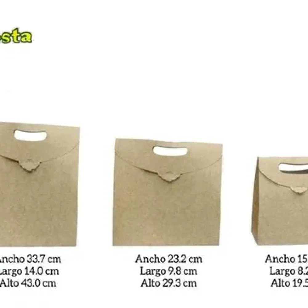 CAJA TIPO MALETIN GRANDE SIN VENTANA